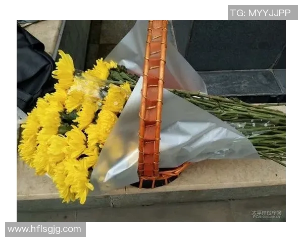 武汉乒乓球队逆袭之旅揭秘世界杯背后的奋斗与荣耀