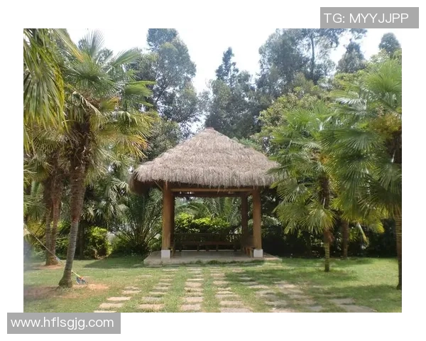 科斯塔的足球旅程:从青涩少年到国际舞台的闪耀明星 科斯塔的足球旅程:从青涩少年到国际舞台的闪耀明星